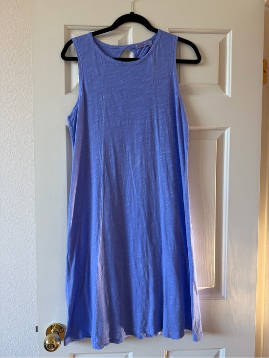 fresh produce Dresses & Skirts - Fresh Produce Blue Sleeveless Swing Dress